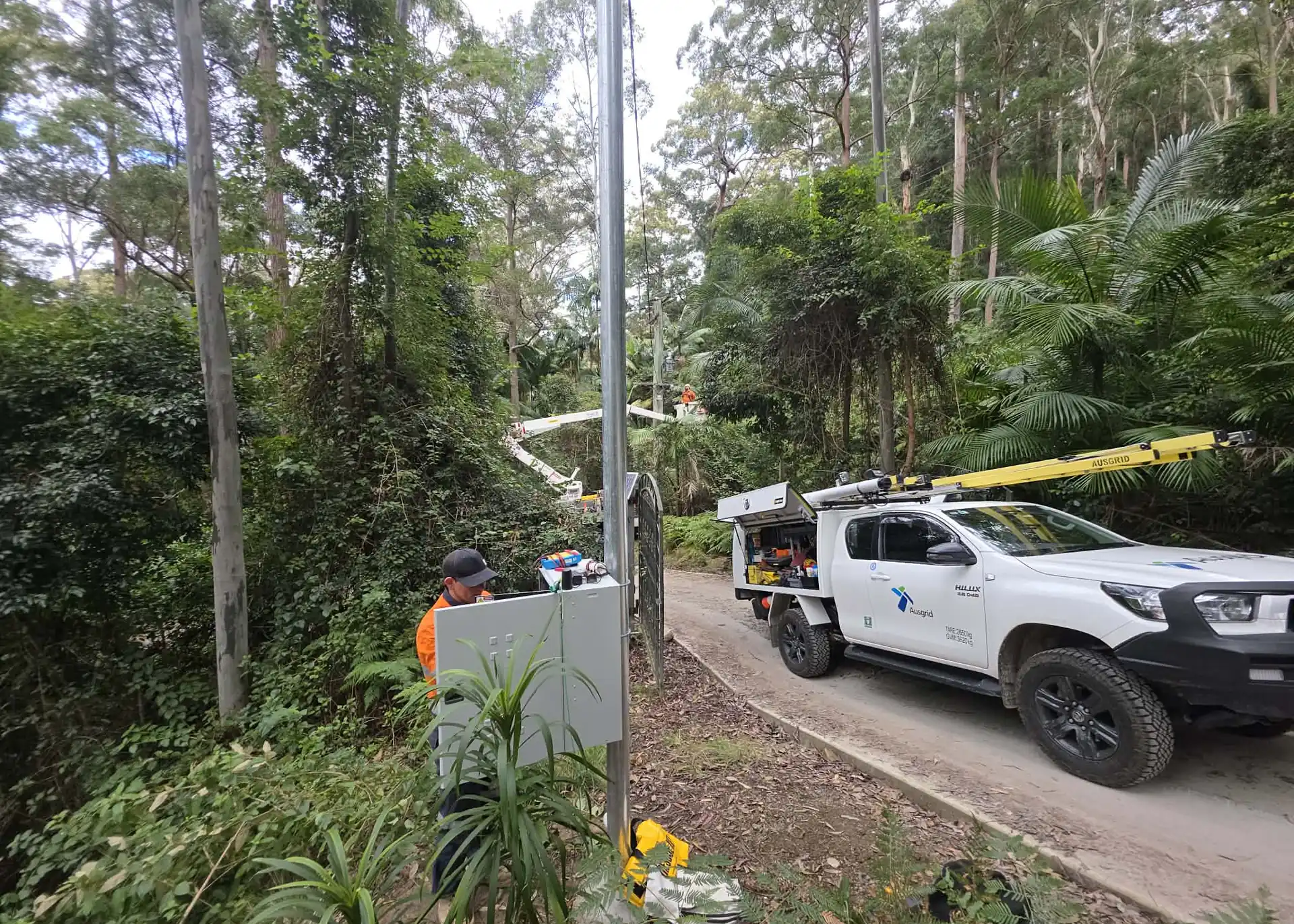 Electrical network work beside a power pole on a forested driveway